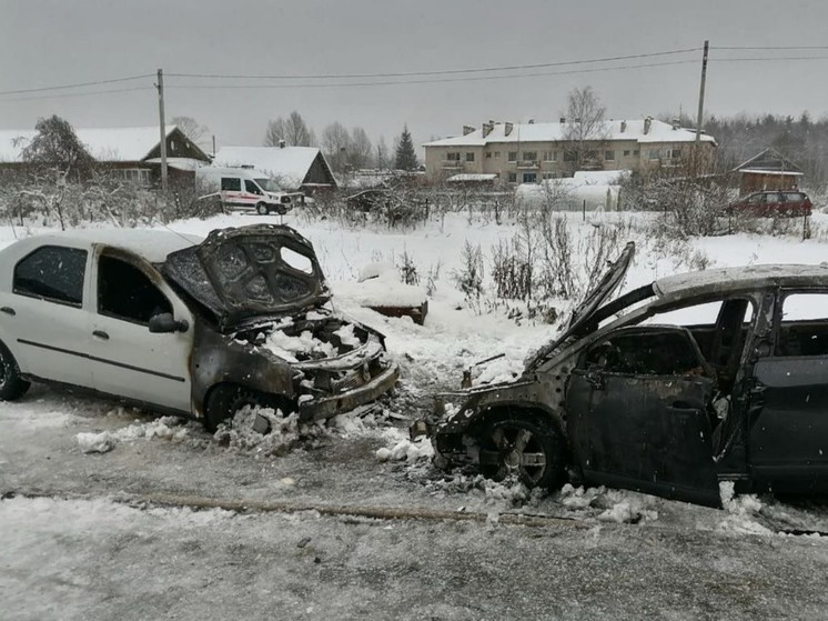 В сгоревшем автомобиле в Демянском районе обнаружен погибший