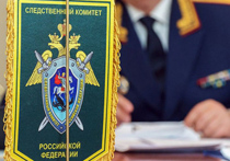 Со слов женщины, она хотела проучить ребенка
