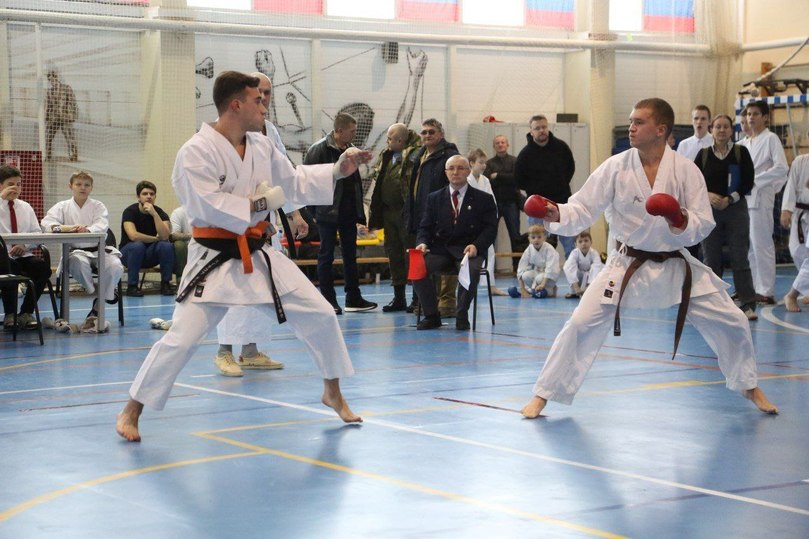 Гогита Аркания карате WKF