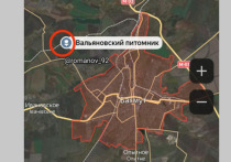Укрепленный район ВСУ "Вальяновский питомник", расположенный на северо-западе Бахмута (Артемовска), перешёл под контроль российской армии
