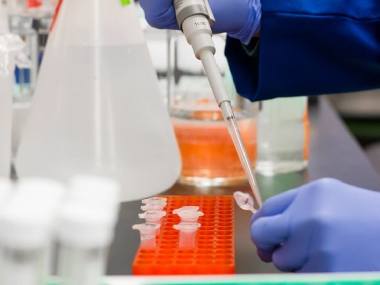 Эксперты в ООН предрекли распространение в мире опасных тропических болезней