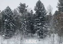 В Забайкалье 5 декабря ожидается резкое ухудшение погоды с усилением ветра местами до 24 м/с, снегом и метелью