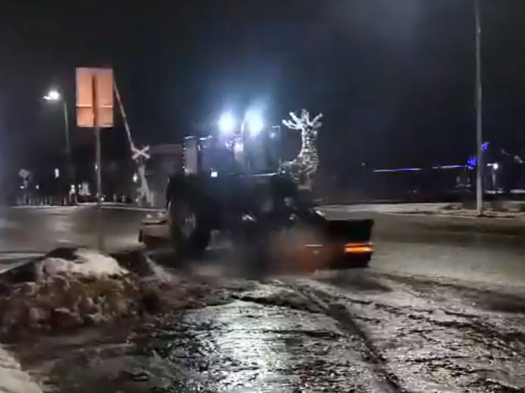 Снегоуборочная техника в Кузбассе перевозит оленей
