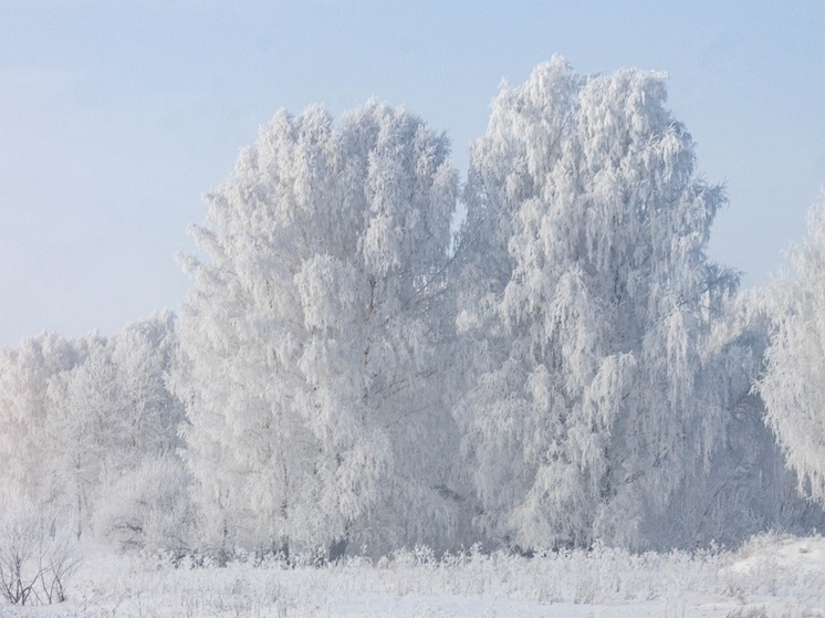 В начале недели в Омской области похолодает до -26 градусов