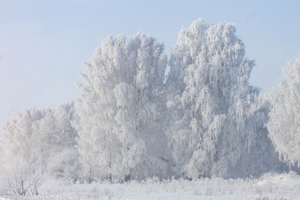 В начале недели в Омской области похолодает до -26 градусов