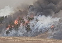 В Акшинском районе двое жителей села Курулга выплатят 2 млн рублей за тушение лесного пожара, который случился по их вине