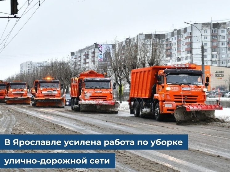 Мэр Ярославля попросил автомобилистов пересесть на общественный транспорт