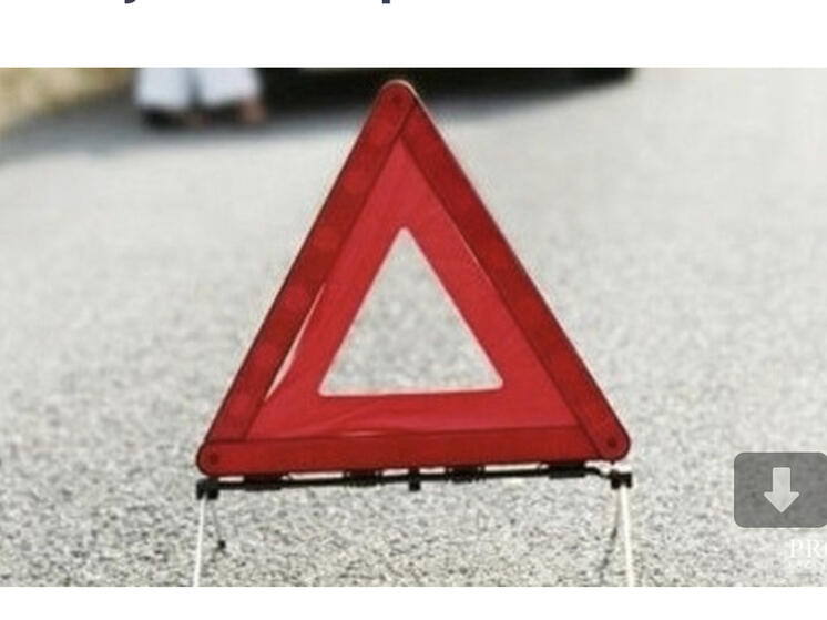 Поисково-спасательный отряд «Сальвар» получил 30 заявок от смолян за месяц