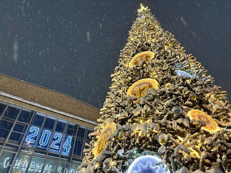 Сразу в нескольких городах Мурманской области засияла новогодняя ель