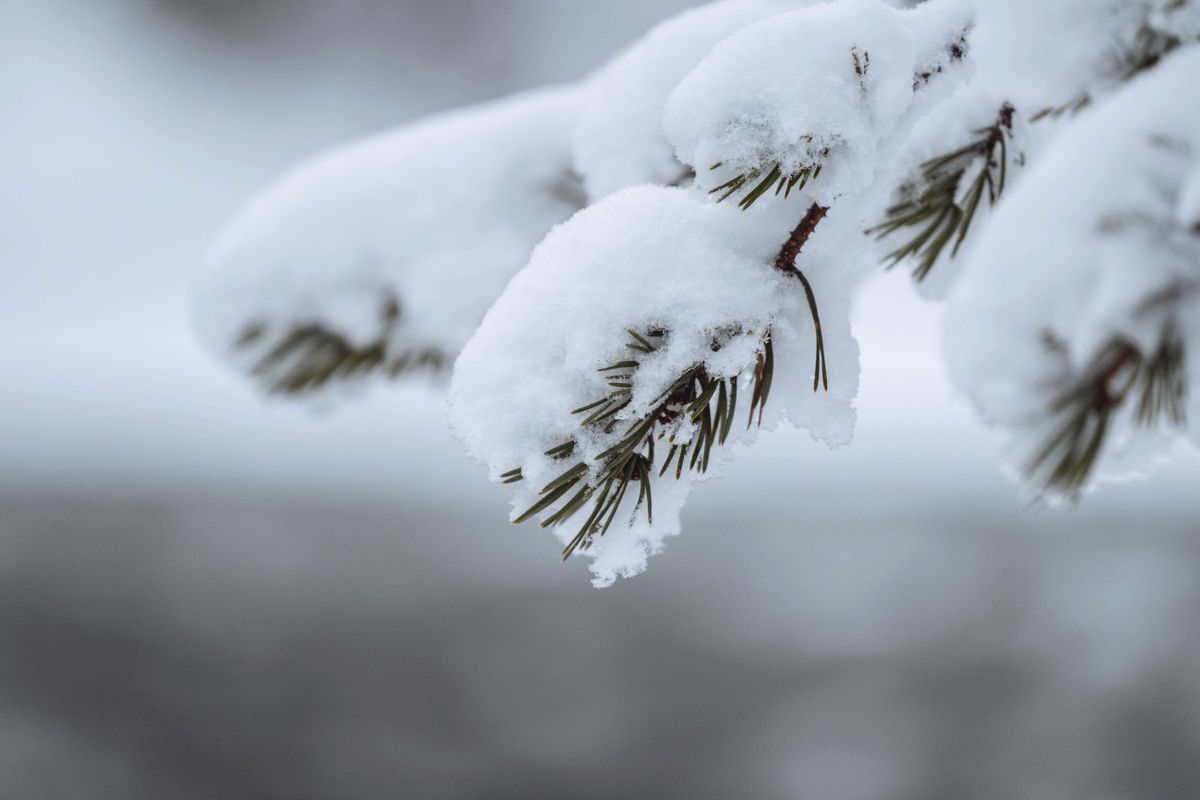 Накрывший Москву снегопад побил рекорд за всю историю наблюдений