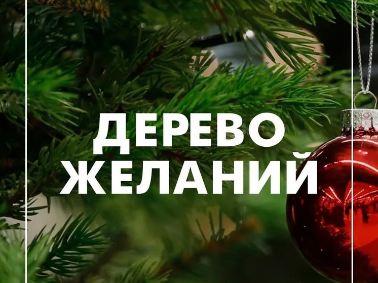 В Туле исполнят желания детей-сирот к Новому году