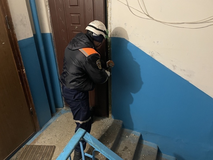 Пензенские спасатели впустили медиков к травмированной женщине