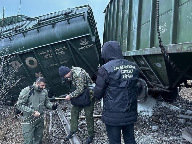 Рязанскому диверсанту Сидики обещали 15 тысяч долларов за подрыв поезда