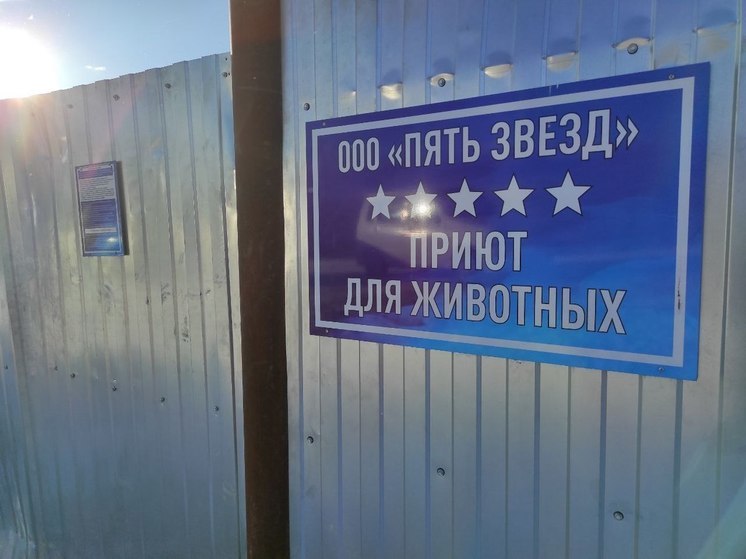 Зоозащитники устроят митинг у приюта для собак «Пять звёзд» в Чите