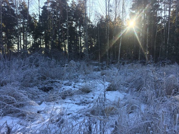 С 5 по 9 декабря в Рязанской области ожидается аномально холодная погода