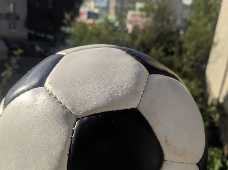 Крытый футбольный манеж построят в Вологде в 2025 году