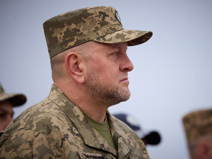 Украинские СМИ узнали о жалобах Залужного на Зеленского шефу Пентагона