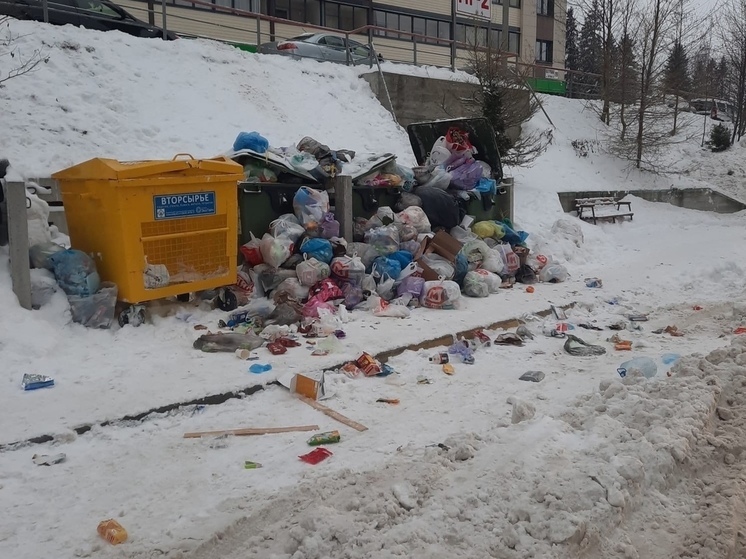 Мусорная площадка в Петрозаводске утопает в отходах