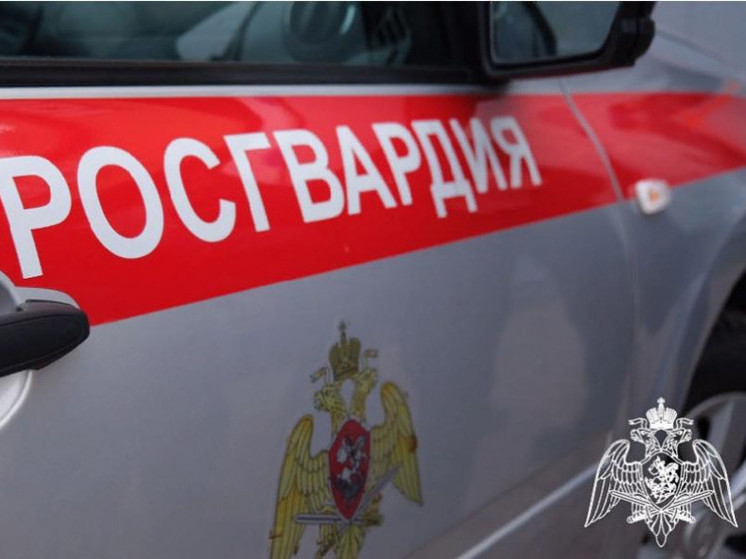 Тамбовские росгвардейцы за неделю более 100 раз выезжали по сигналу «тревога»