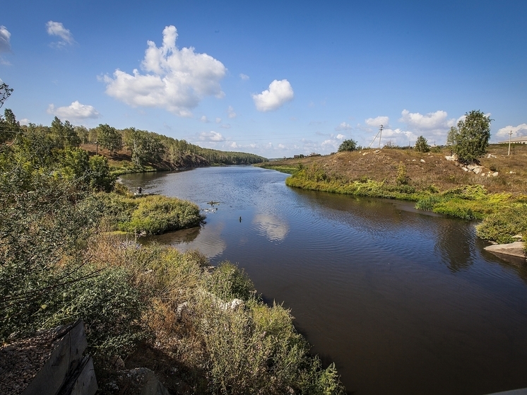 В Челябинской области начнут крупный проект по очистке реки Миасс