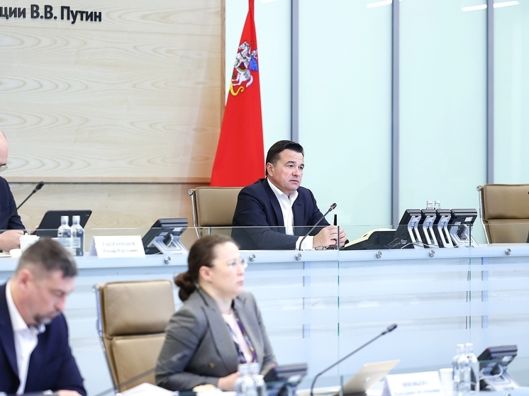 В Подмосковье действует 17 региональных мер поддержки многодетных семей