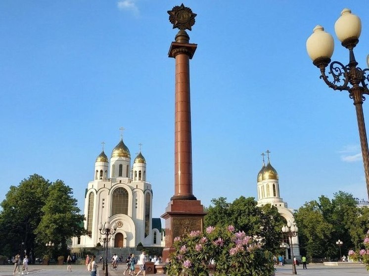 На площади Победы в Калининграде незаконно срезали ветки деревьев