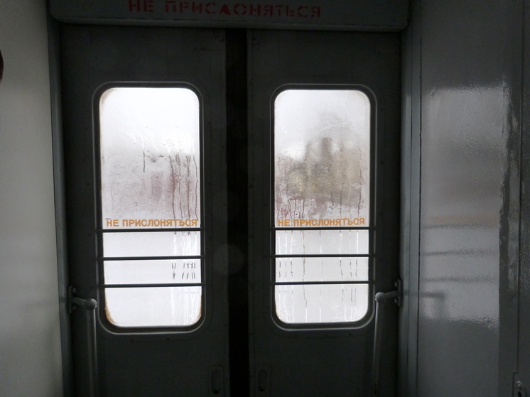 Из Новгородской области с начала года выдворили более 100 иностранцев