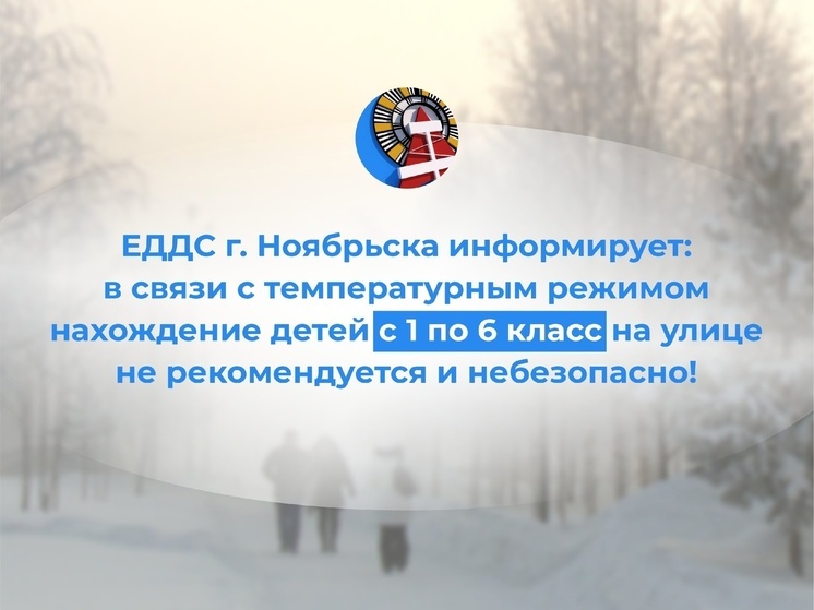 Школьникам Ноябрьска и Губкинского разрешили остаться дома из-за мороза