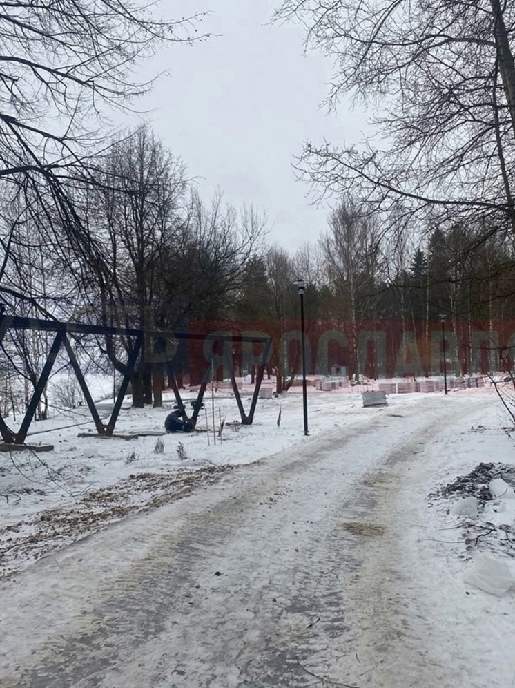 В Ярославле продолжаются работы в Павловской роще