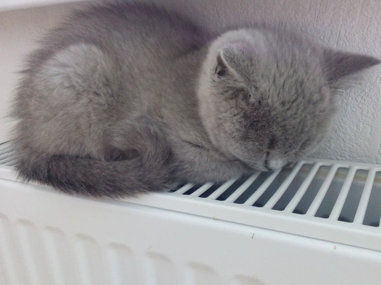 Мурманчан предупредили об отключениях света и тепла