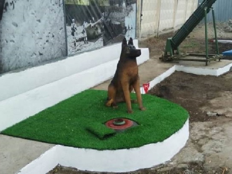 Память погибшей на СВО служебной собаки увековечили в Приморье