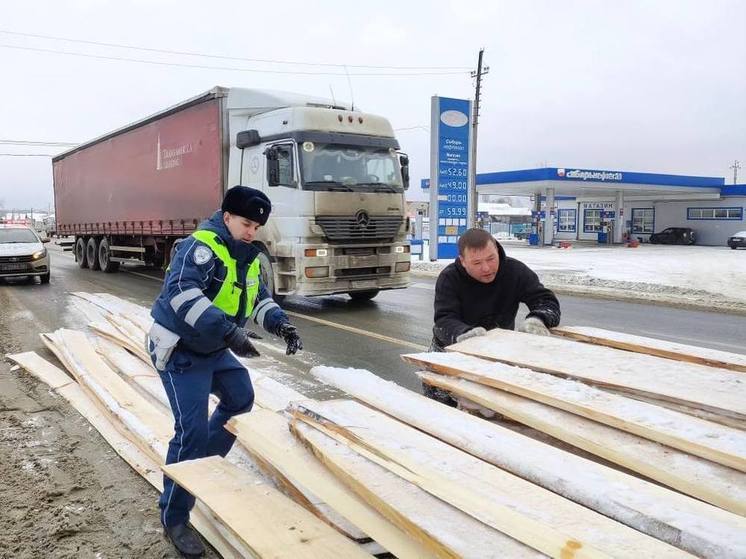 Пензенские госавтоинспекторы помогли водителю, применившему экстренное торможение
