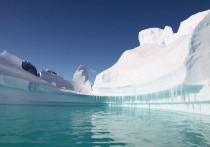 Отколовшаяся от Антарктике гигантская ледяная гора заинтриговала исследователей

