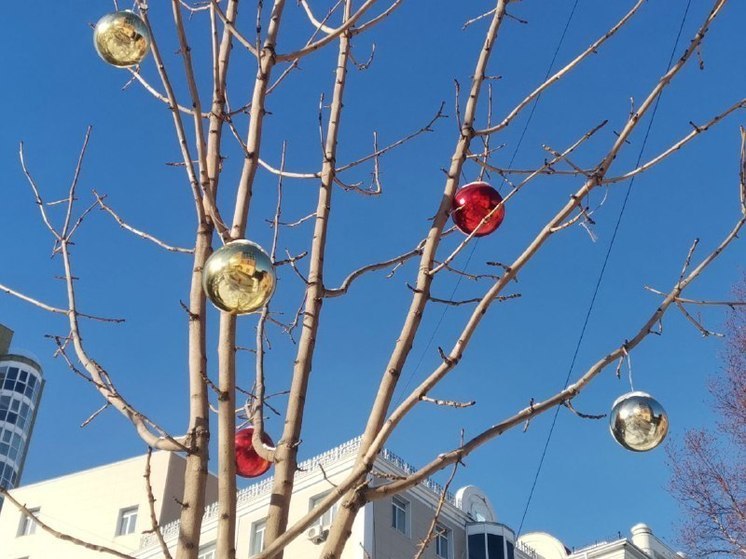 Среда в Хабаровске окажется самым теплым днем недели