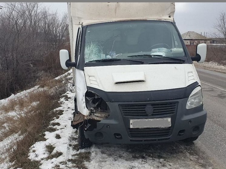 В Поворинском районе под Воронежем «Газель» насмерть сбила пенсионерку