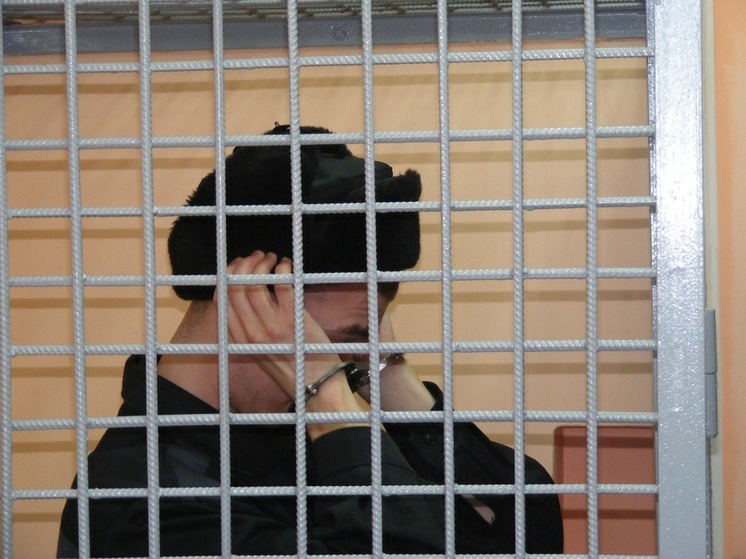 Череповчанин ответил в суде за убийство, мошенничество, кражи и угон