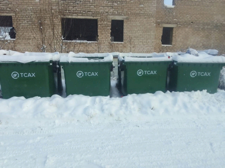 В Тверской области наблюдаются перебои с вывозом мусора из-за снегопадов