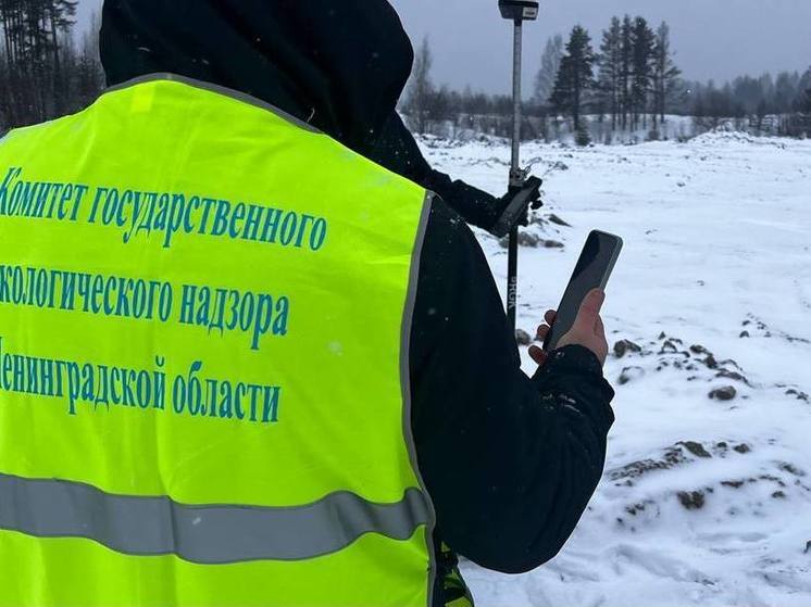 Специалисты эко-надзора провели более 700 выездов для осмотра Ленобласти
