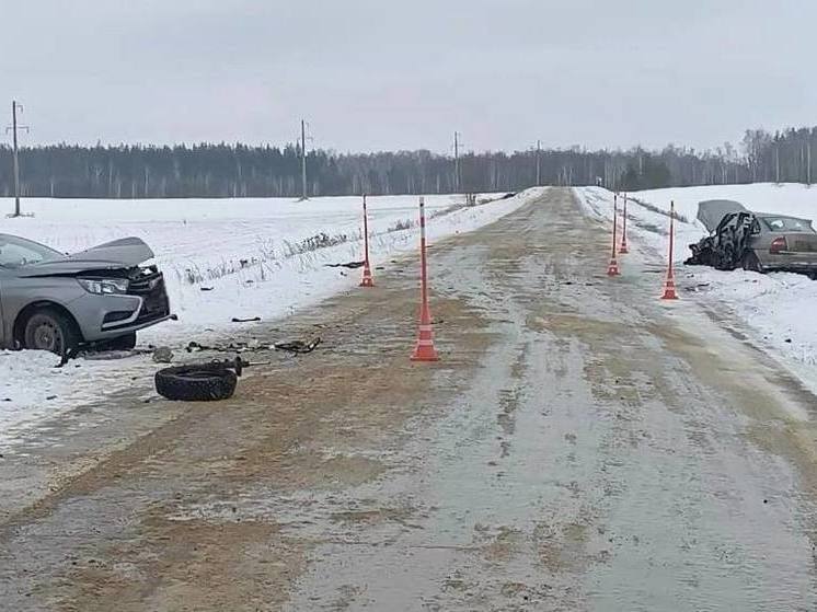 В Пензенской области произошло смертельное ДТП, погиб 66-летний водитель