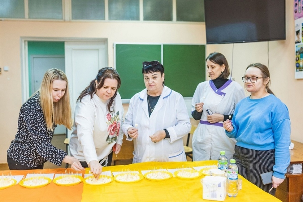 В Костромской Сельхозакадемии выяснили, из молока каких пород коров получается лучший сыр
