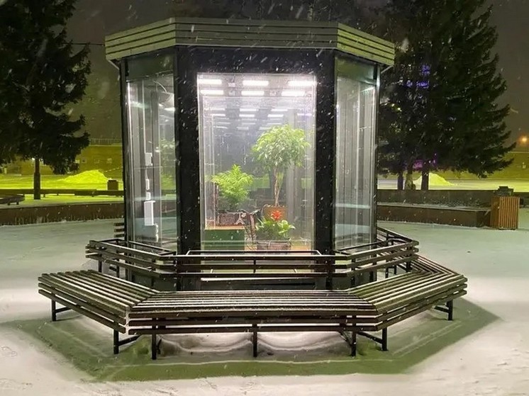 В центре Красноярска открылся флорариум