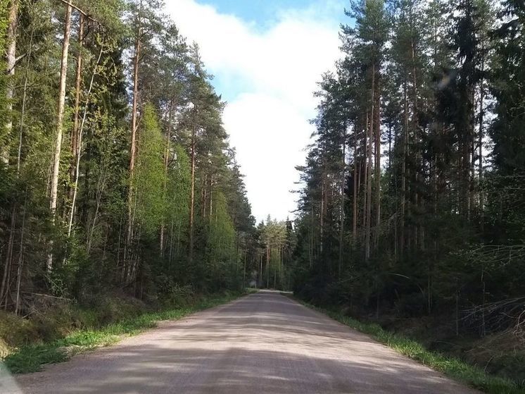 В Ленобласти устранили 400 опасных примыканий к трассам