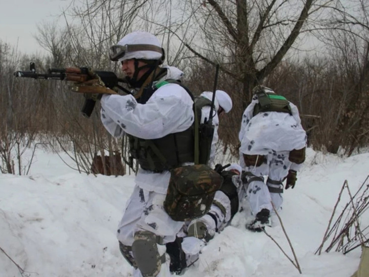 Военкор Коц объяснил, почему нельзя замораживать конфликт с Украиной