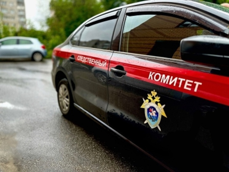 Глава СКР Бастрыкин взял на контроль расселение дома в Вязниках