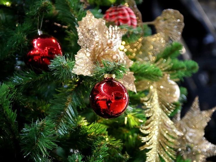 Россияне начали экономить на новогодних подарках