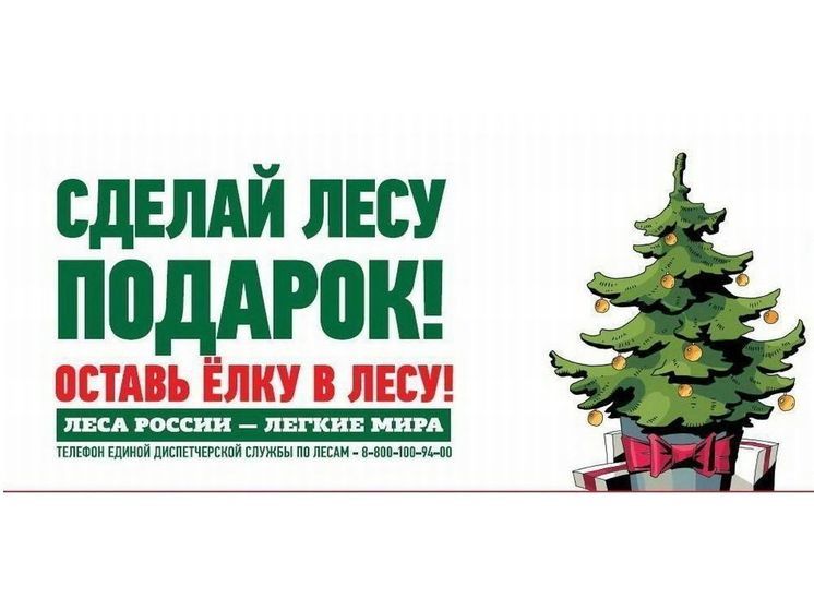 На Смоленщине стартовала операция «Елочка»