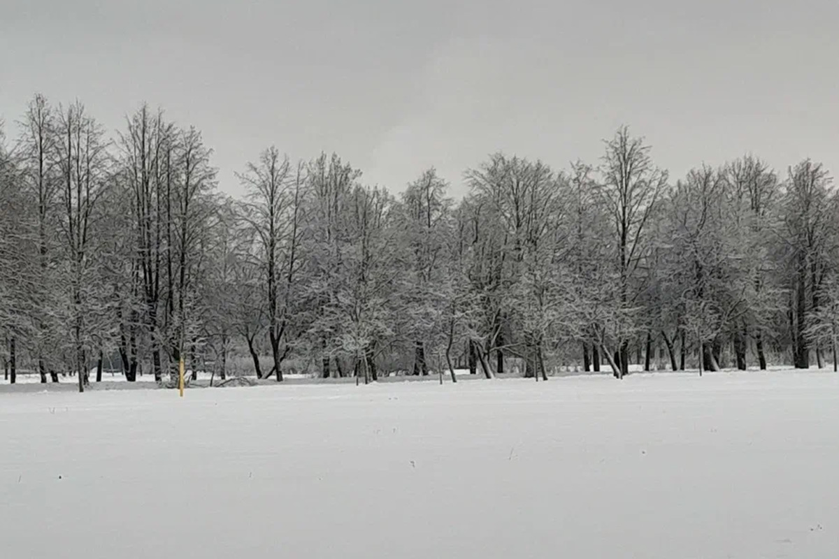 6 декабря в Ивановской области ожидаются мороз, туман и гололедица