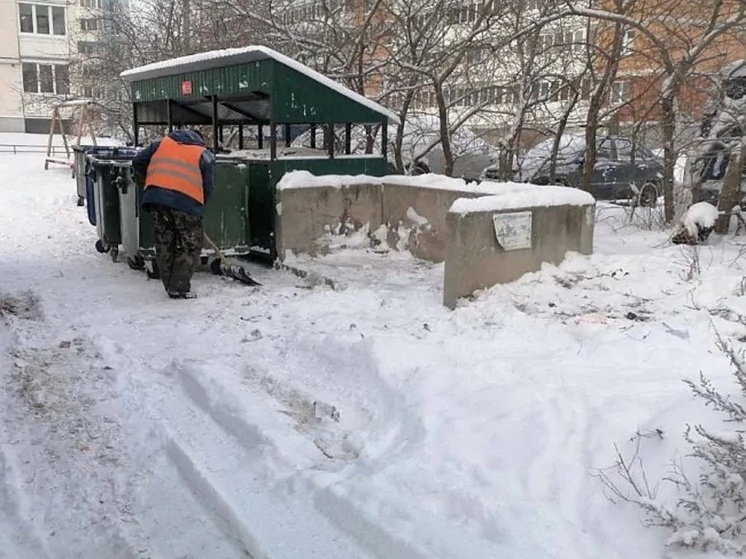 Власти Ярославля обещают решить мусорную проблему на Липовой горе
