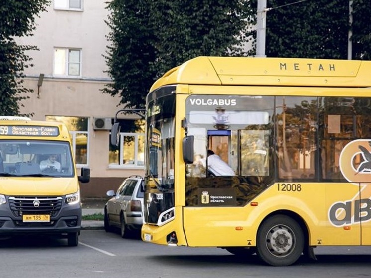 Ярославцы продолжают жаловаться на работу общественного транспорта