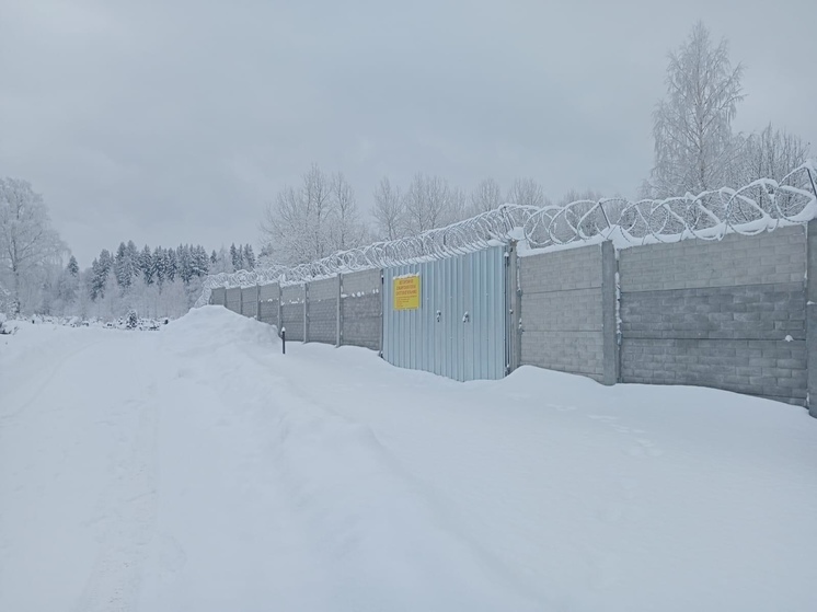 Сибиреязвенный скотомогильник в Петрозаводске спрятали за бетонный забор